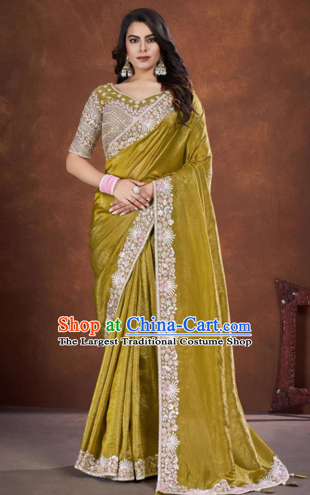 Indian Traditional Women Clothing India Embroidery Ginger Dress Festival Sari National Costume