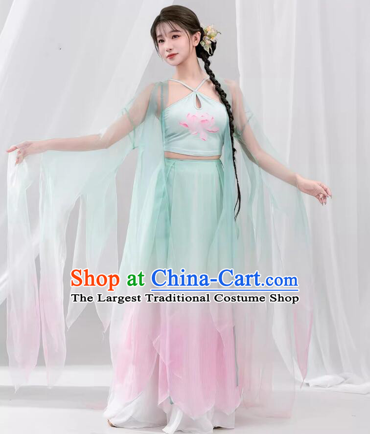 Chinese Classical Dance Costume Butterfly Wing Sleeves Hanfu Dress